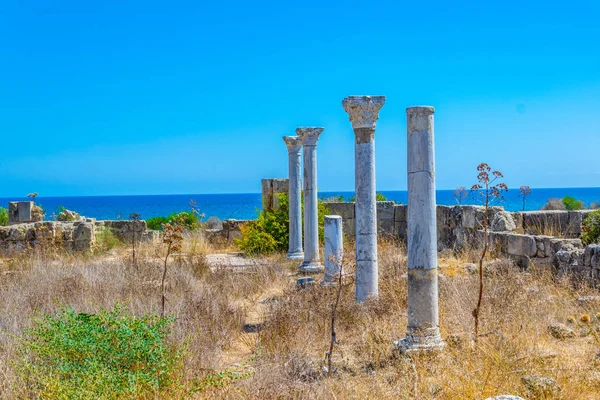 Gazimağusa Cypru Yakınındaki Antik Salamis Arkeolojik Sitesinde Kampanopetra Bazilikası Kalıntıları — Stok fotoğraf