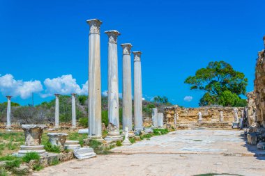 Gazimağusa-Cypru yakınındaki Antik Salamis sit alanı, spor salonu kalıntıları