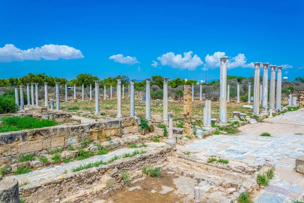 Romjai Ősi Salamis Régészeti Helyszín Famagusta Cypru Közelében Gimnázium — Stock Fotó