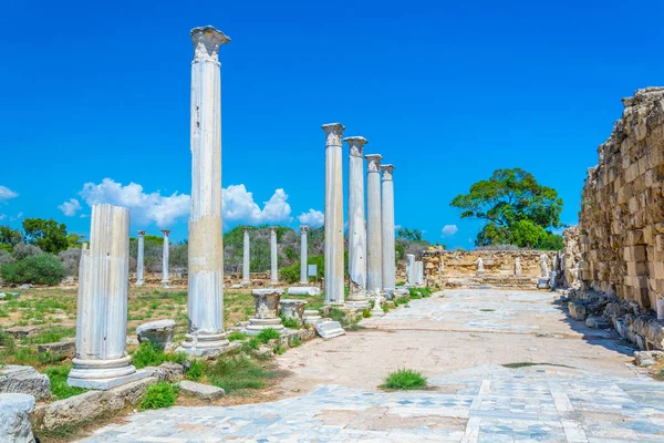 Romjai Ősi Salamis Régészeti Helyszín Famagusta Cypru Közelében Gimnázium — Stock Fotó