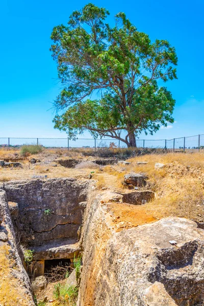 Ruínas Antigas Necrópolis Salamis Perto Famagusta Cypru — Fotografia de Stock