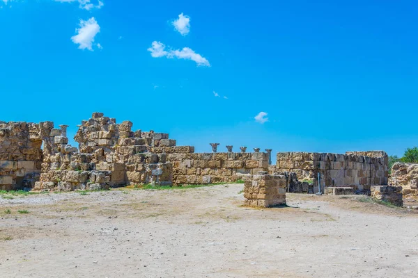 Famagusta Cypru 살라미 고고학 사이트에서 체육관의 — 스톡 사진