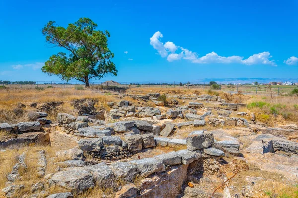 Ruinas Antiguas Necrópolis Salamis Cerca Famagusta Jalá —  Fotos de Stock