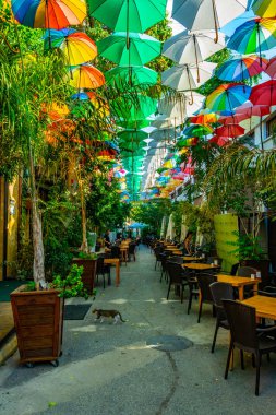 Lefkoşa, Kıbrıs, 24 Ağustos 2017: Turist Lefkoşa, Cypru, şemsiye kapsadığı sokak