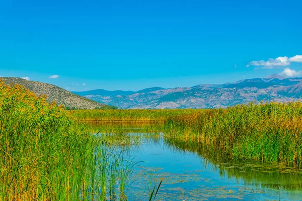 Caña Lago Kastoria Orestiada Greec —  Fotos de Stock