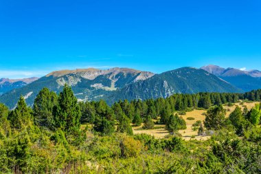 Orman ve çayır Andorr