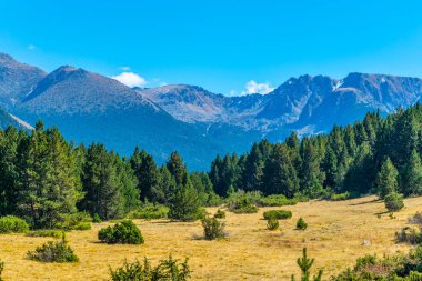Orman ve çayır Andorr