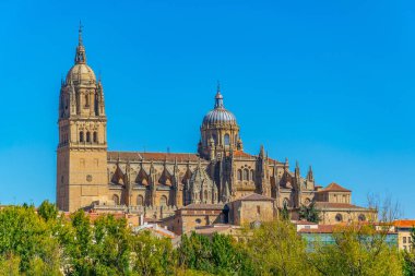 Cathedral of Salamanca, Spai clipart