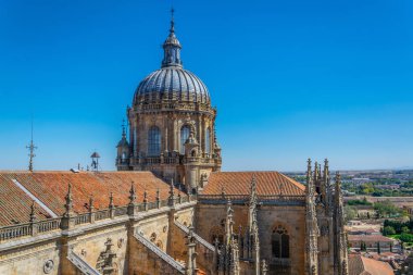 Salamanca, Spai Katedrali