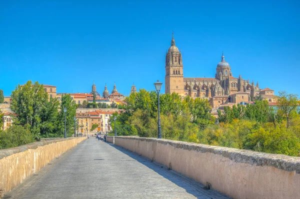 Puente Romano Que Conduce Catedral Salamanca Spai — Foto de Stock