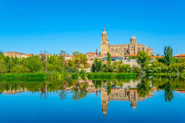 Catedral Salamanca Reflejada Río Tormes Spai — Foto de Stock
