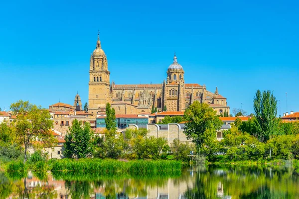 Catedral Salamanca Spai — Foto de Stock