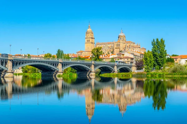 Köprü Enrique Esteven Nehrinde Tormes Spai Arkasında Yansıyan Salamanca Katedrali — Stok fotoğraf