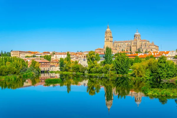 Catedral Salamanca Reflejada Río Tormes Spai — Foto de Stock