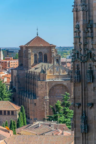 Kloster Von San Establishan Salamanca Spanien — Stockfoto