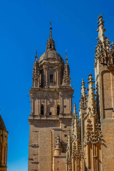 Kathedraal Van Salamanca Spai — Stockfoto