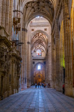 Salamanca, İspanya, 5 Ekim 2017: Salamanca, Spai Katedrali'nde içinin