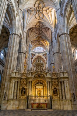 Salamanca, İspanya, 5 Ekim 2017: Salamanca, Spai Katedrali'nde içinin