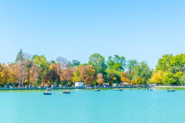 Madrid, İspanya, 6 Ekim 2017: İnsanlar el estanque Grande Parque del Buen Retiro Madrid, Spai, kürek