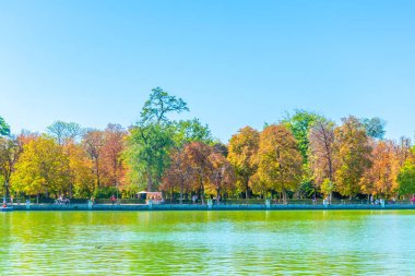 Madrid, İspanya, 6 Ekim 2017: İnsanlar el estanque Grande Parque del Buen Retiro Madrid, Spai, kürek