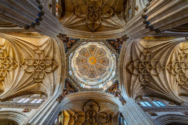 Salamanca Spanien Oktober 2017 Decke Der Kathedrale Von Salamanca Spanien — Stockfoto
