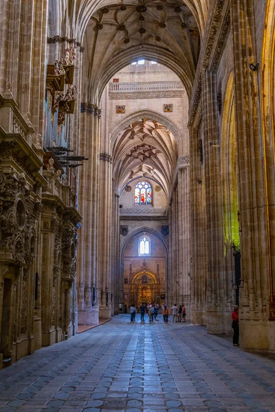 Salamanca Spagna Ottobre 2017 Interno Della Cattedrale Salamanca Spai — Foto Stock