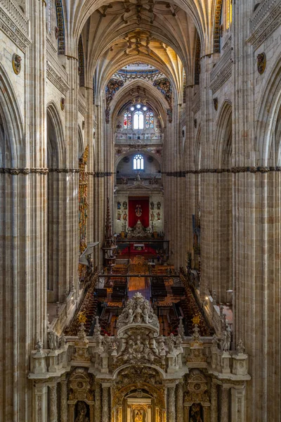 Salamanca Hiszpania Października 2017 Wnętrze Katedry Salamance Spai — Zdjęcie stockowe