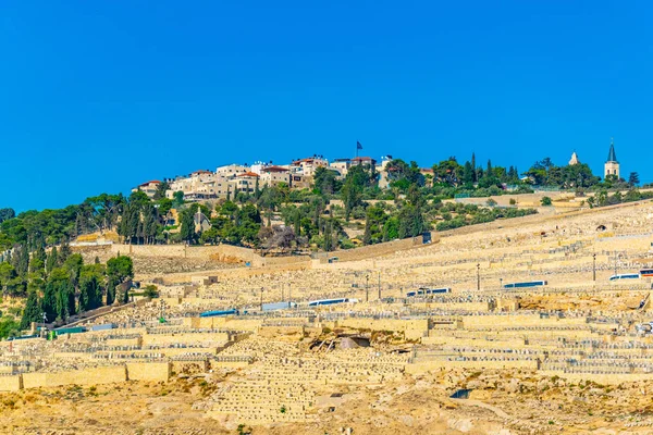 Monte de aceitunas en Jerusalén, Israel — Foto de Stock
