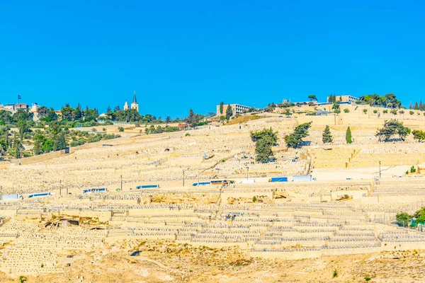 Monte de aceitunas en Jerusalén, Israel — Foto de Stock