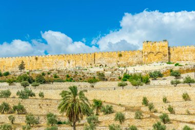 Sur Jerusalem, İsrail