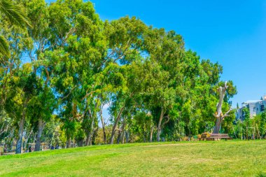 nehir Yarkon Tel Aviv İsrail'in yanında mesire