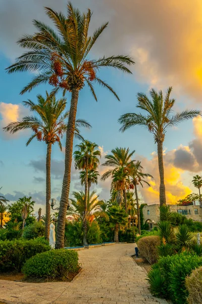 Hapisgah trädgård i Jaffa, Tel Aviv, Israel — Stockfoto