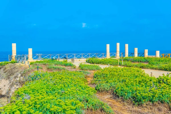 Romjai hegyfok palotájában ősi caesarea, Izrael — Stock Fotó