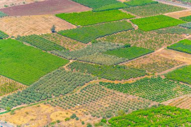 Alanlar ve bahçelerinde İsrail Celile Denizi yakınlarında
