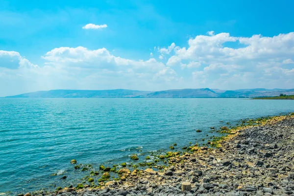 Галилейское море в Израиле — стоковое фото