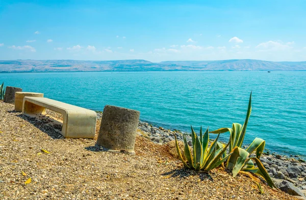 加利利海与长凳和花在以色列 — 图库照片