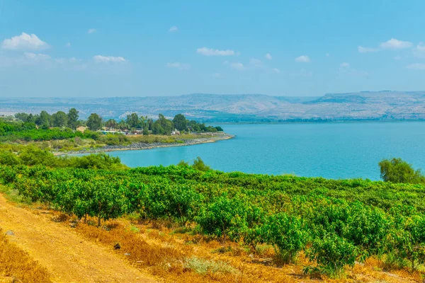 Mare di Galilea in Israele — Foto Stock