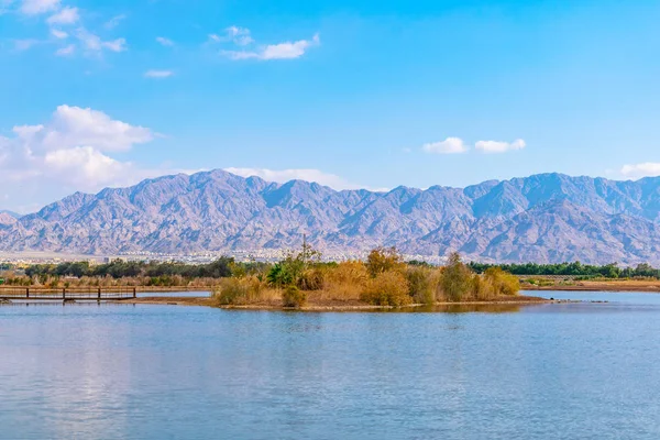 International birding and research center in eilat, israel