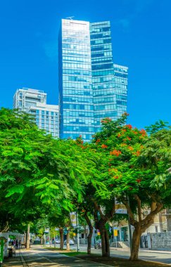 Tel Aviv, İsrail, 9 Eylül 2018: Rotschild boule görünümünü
