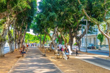 Tel Aviv, İsrail, 10 Eylül 2018: Rotschild boul görünümünü