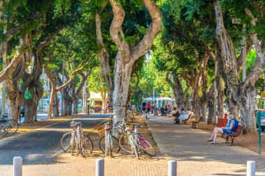Tel Aviv, İsrail, 10 Eylül 2018: Rotschild boul görünümünü
