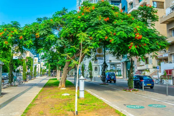 Tel Aviv, İsrail, 9 Eylül 2018: Rotschild boule görünümünü