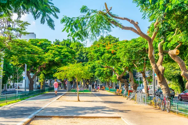 Tel Aviv, İsrail, 10 Eylül 2018: Rotschild boul görünümünü