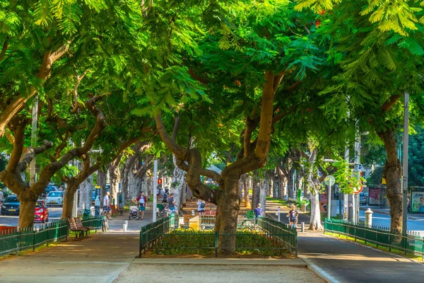 Tel Aviv, İsrail, 10 Eylül 2018: Rotschild boul görünümünü