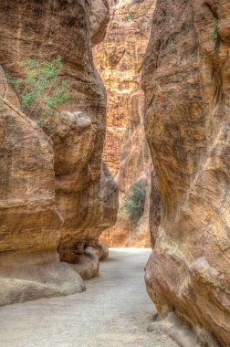 Petra, Jordan antik kalıntıları önde gelen Siq Kanyon
