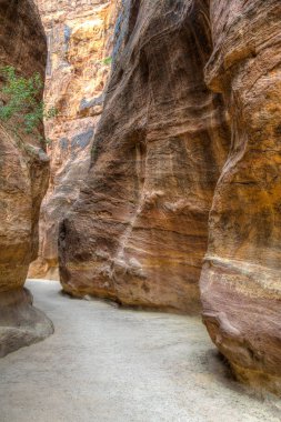 Petra, Jordan antik kalıntıları önde gelen Siq Kanyon