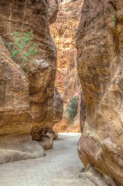 Siq canyon führt zu den antiken ruinen von petra, jordan — Stockfoto