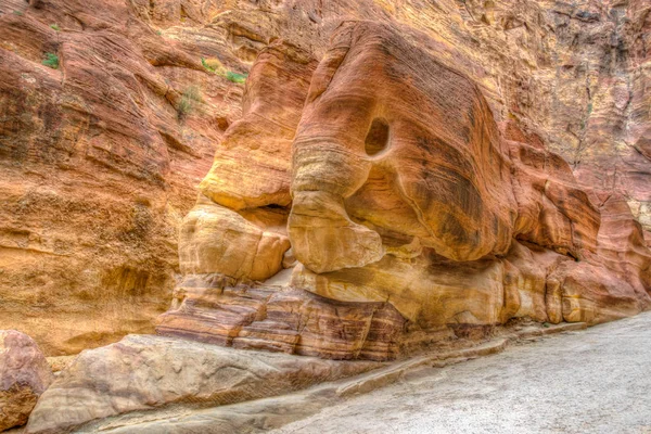 Rock monument resembling an elephant and a fish in the siq canyo — Stock Image Rock monument resembling an elephant and a fish in the siq canyo Royalty Free Stock Photos