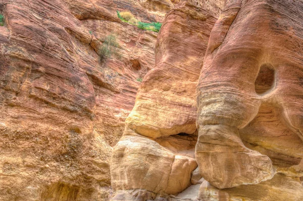 Rock monument resembling an elephant and a fish in the siq canyo — Stock Image Rock monument resembling an elephant and a fish in the siq canyo Royalty Free Stock Images