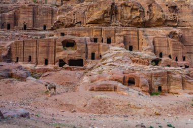 Cadde Cephe: Petra, Jordan